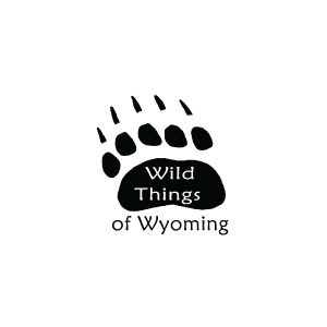 https://concertsoncommons.com/wp-content/uploads/2022/05/Wild-Things-of-Wyoming.png